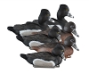 Higdon Decoys Battleship Ringneck - Foam Filled