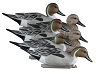 Higdon Decoys Standard Pintail - Foam Filled