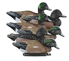 Higdon Decoys Standard Widgeon - Foam Filled