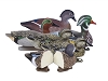 Higdon Decoys Standard Puddle Pack - Foam Filled - 2 Green Wing Teal - 2 Blue Wing Teal - 2 Woodducks