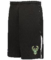 Alleson Athletic Nba Logo'D Shorts